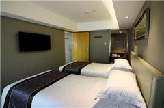 Chess and Cards Suite