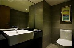 Chess and Cards Suite