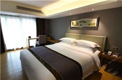 Chess and Cards Suite