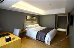 Chess and Cards Suite