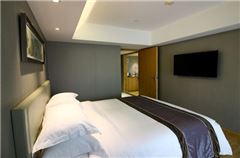 Chess and Cards Suite