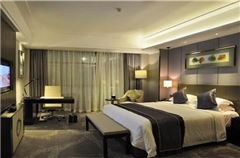VIP Villa VIP Room