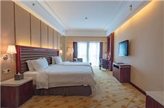 Business Twin Room