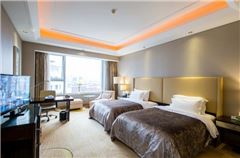 Executive Twin Room