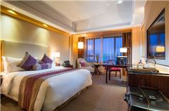 Executive Queen Room