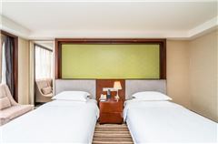 Business Twin Room