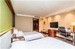 Business Twin Room