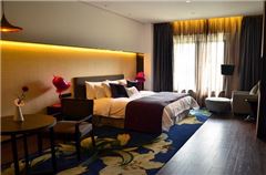 Garden Executive Suite