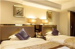 Standard Suite