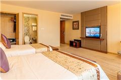 Deluxe Business Twin Room