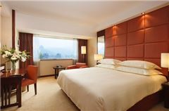 Mountain-view Queen Room