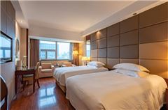 Business Twin Room