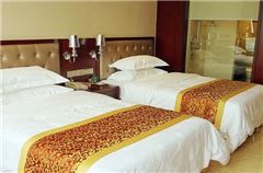 Business Twin Room