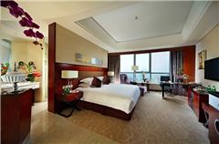 Business City-view Room