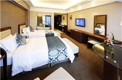 Business Twin Room