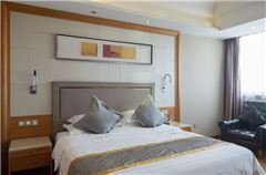 Business Queen Room