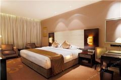 Deluxe Business Queen Room