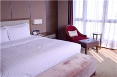 Executive Queen Room