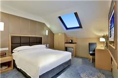 Special Attic Room