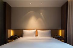 CEO Suite