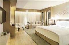 Deluxe Business Room
