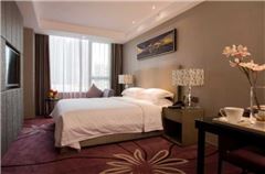 Business Suite