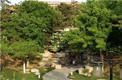 Vicino all'hotel