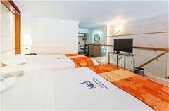 Multi-level Business Suite Twin Room