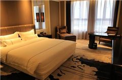 Executive Queen Room