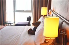 Deluxe Suite B