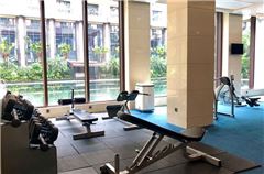 Palestra