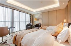 Deluxe Standard Room