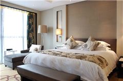 Luxury Suite