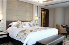 Executive Queen Room