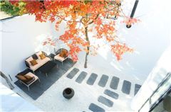 Twin Maple Courtyard