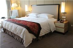 Business Queen Room