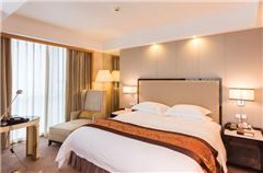Business Suite