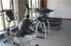 Palestra
