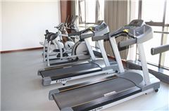 Palestra