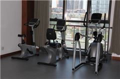 Palestra