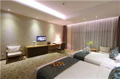 Executive Twin Room