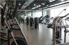 Palestra