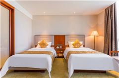 Executive Twin Room