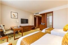 Business Twin Room