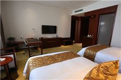 Business Twin Room