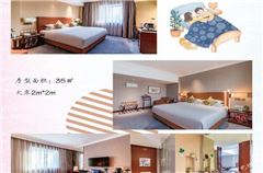 Executive Queen Room