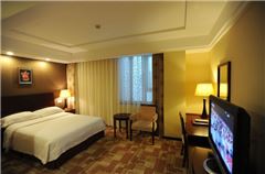 Superior Queen Room
