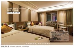 Elegant Twin Room