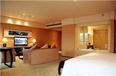 Deluxe Business Suite