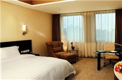 Special Promotion Business Room